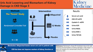 Uric Acid Lowering And Biomarkers Of Kidney Damage In Ckd Stage 3 A Post Hoc Analysis Of A Randomized Clinical Trial Kidney Medicine