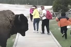 Mdemma getting fucked she possesses a fantastic petite