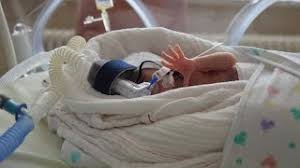 6 nährstoffe und eigenschaften der pflaume. Fruhgeborene Die Intensivstation Medizinisches Baby Swissmom Ch