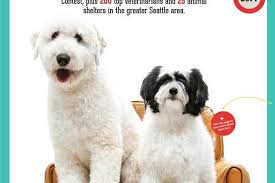 Here at the pets'n'vets family, your pet will have access to the highest quality of veterinary care and our fantastic team of vets, vet nurses, vet techs and receptionists will ensure that they are made to. Pets And Vets 2014 Seattle Met