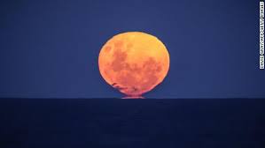 Learn about the meaning in astrology and read your horoscope by zodiac sign. F Botyjjmdqgqm