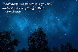 Famous Quotes That Will Inspire You To Spend More Time Among Nature Cottage Life Nature Quotes Wildlife Quotes Earth Quotes