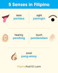 Do You Know Your 5 Senses In Filipino Filipinogrammar Filipinolesson Filipinoaccent Filipinopod101 Filip Tagalog Words Filipino Words Basic Language