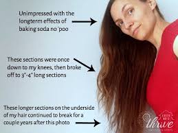 What Years Of Baking Soda No Poo Did To My Long Healthy Hair Apple cider vinegar (acv) has a low ph level.