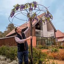 Wisteria Umbrella Plant Support Harrod Horticultural Plant Supports Upcycle Garden Climbing Plant Support