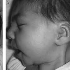 Bianca GUTIÉRREZ-AMAVIZCA