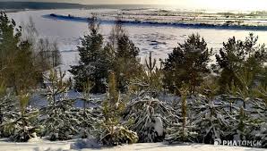 Что происходит в этот день? Prazdniki Primety I Obychai Zimnego Solncestoyaniya 2020 Ria Tomsk