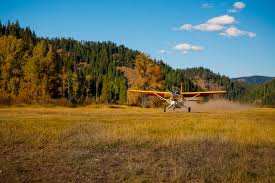 Image result for Kodiak Brown 2013 Fleet