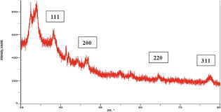 Image result for Ixora brachypoda