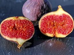 Buah ini banyak ditanam pada pot karena proses tanam yang mudah begitu juga perawatannya, buah ini dapat tumbuh pemupukan dan perawatan juga diperlukan demi mendapatkan hasil yang maksimal dari tanaman ini, dan juga tanaman tin mempunyai banyak manfaat. Mengenal Buah Tin Buah Populer Di Banyak Agama Indozone Id