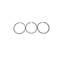 China Genuine Engine Part Ring Oil Piston C3921919 Manufacturer