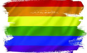 May 12, 2021 · this lgbtq flag was created in 2014 to represent people whose gender identity does not fit within the traditional male/female binary, with the intention of flying alongside the genderqueer pride. Connecting With Your Lgbtq Community Police Chief Magazine