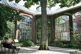 Botanical Garden Hortus Botanicus Amsterdam Amsterdam Tourist Windmills In Amsterdam Amsterdam Attractions
