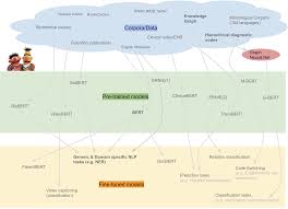 A Review Of Bert Based Models Towards Data Science