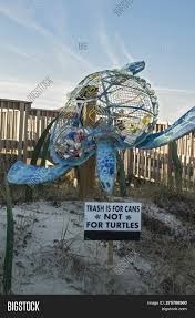 Maybe you would like to learn more about one of these? Large Sea Turtle Image Photo Free Trial Bigstock