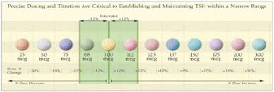 synthroid tablet color chart related keywords suggestions