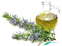 Image result for â«Ø§Ø³Ø§ÙØ³ ÙØ±Ø§Ø¯â¬â