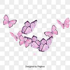 Design Of Beautiful Cartoon Butterfly Insect Butterfly Hand Painted Insect Png Transparent Clipart Image And Psd File For Free Download In 2021 Butterfly Clip Art Butterfly Watercolor Butterfly Illustration
