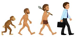 Human Evolution