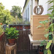 Bienen halten, die wichtigsten tipps bienen 1x1 in diesem video bekommt ihr tipps rund um die biene, hauptsächlich tipps für anfänger von patrick (mika. Hobbyimker Werden Eigene Bienen Im Garten Halten Einfach Stephie