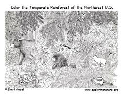 For boys and girls, kids and adults, teenagers and toddlers, preschoolers and older kids at school. Pacific Northwest Animals Temperate Rainforest Coloring Page