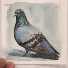 Pin By Filiz Kose On Art Bird Art Art Tutorials Watercolor Animal Paintings