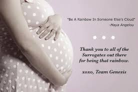 Jimmy fallon on pursuing surrogacy. Quotes About Surrogate Motherhood 26 Quotes