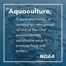 The NOAA acknowledges that aquaculture, if done responsibly, is  increasingly being recognized as one of the most environmentally  sustainable ways to produce food and protein. IntelliReefs' aquaculture  substrates offer #sustainablemarinesolutions and ...