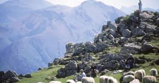 Chemin De St Jacques De Compostelle Etape St Jean Pied De Port Roncevaux Pays Basque Pyrenees Atlantiques France Santiago De Compostela French Alps Spain