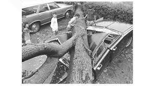 Damaging winds extended into northern indiana, southwest michigan, and northwest ohio during the early evening hours. Today Is The 50th Anniversary Of The July 4 Ohio Fireworks Derecho A Storm That Killed Dozens In Northern Ohio Wtol Com