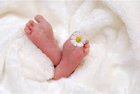 Acte De Naissance Ville De Rosporden Kernevel
