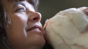 These animals an Avon shelter rescues may surprise you