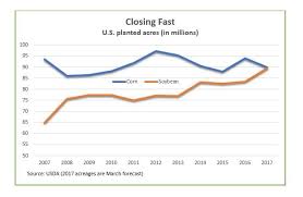 soybeans poised to dethrone king corn in planted acreage