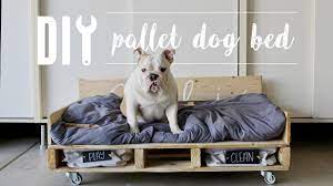 Have you ever wanted to make a cool bed for your dog? Diy Pallet Dog Bed Home Depot Youtube