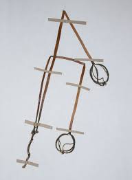 Image result for Gastrodia ballii