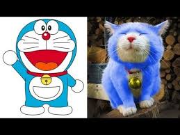 Cat Doraemon Cartoon Characters In Real Life Youtube Doraemon Cartoon Princess Drawings Doraemon