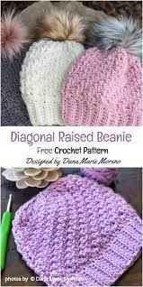 Diagonal Raised Beanie Free Crochet Pattern Idea Crochet Hats Crochet Crochet Mittens Pattern