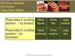 Ppt Infant Reflexes And Stereotypies Powerpoint