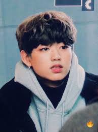 1the9 Jung Jinsung Boys Kpop Idol Kpop