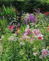 When I Come Into The Very Presence Of God I Do Not Realize That I Am A Sinner In An Indefinite Sense But I Sudd Jardins Champetres Beaux Jardins Idees Jardin