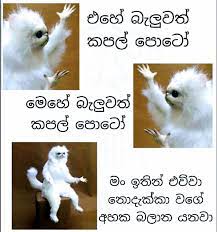Check spelling or type a new query. Pin By Fathi Nuuh On Lankan Memes Jokes Quotes Jokes Funny Pictures