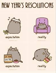 Expectations Versus Reality Pusheen Cute Pusheen Cat Pusheen