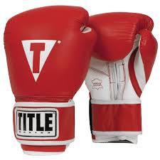 Title Boxing Gloves Pro Style Training Review Glovespot Com