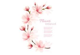 Spring Background With Magnolia Vector Flowers Spring Background Wedding Vector Art