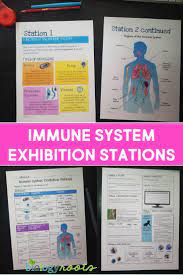 Immune System Exhibition Stations Have Your Kids Learn About The Nitty Gritty Of The Immune System A Immune System Body Systems Lessons Anatomy And Physiology