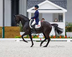 30/07/21 day 1 of the eventing dressage phase is now complete at tokyo Canadian Dressage Team Nominated For 2021 Olympic Games