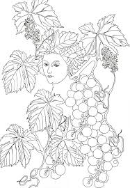 Satisfaction is guaranteed with every order. Pippa S Magical Garden Pippa Rossi Macmillan