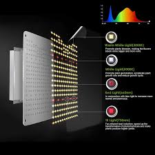 We did not find results for: Buy Growstar Newest 1000w Led Grow Light With Full Spectrum Wavelength High Ppfd And Ir Grow Lamp For 2x2ft Indoor Hydroponic Greenhouse Seeding Veg And Bloom Power Draw 110w Online In Indonesia B08gqsmnnr