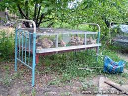 Muss Ich Das Metallbett Wegwerfen Csirkeol Kerteszkedes Farm