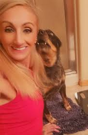 Blue Heeler and Siberian Husky pet owners sharing experiences